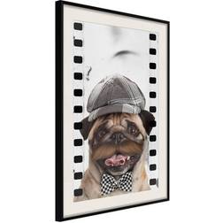 Arkiio Affisch Pug In Hat [Poster] 20x30 Poster